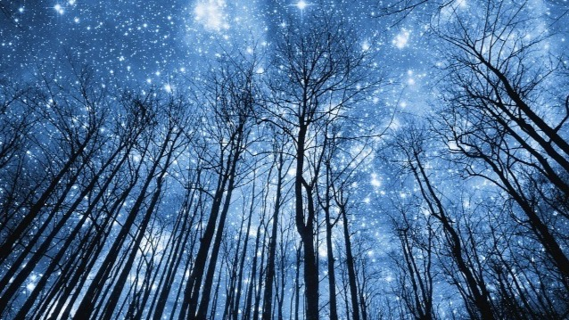 [Анна Староминская] Астрология налегке (декабрь 2024 - январь 2025)