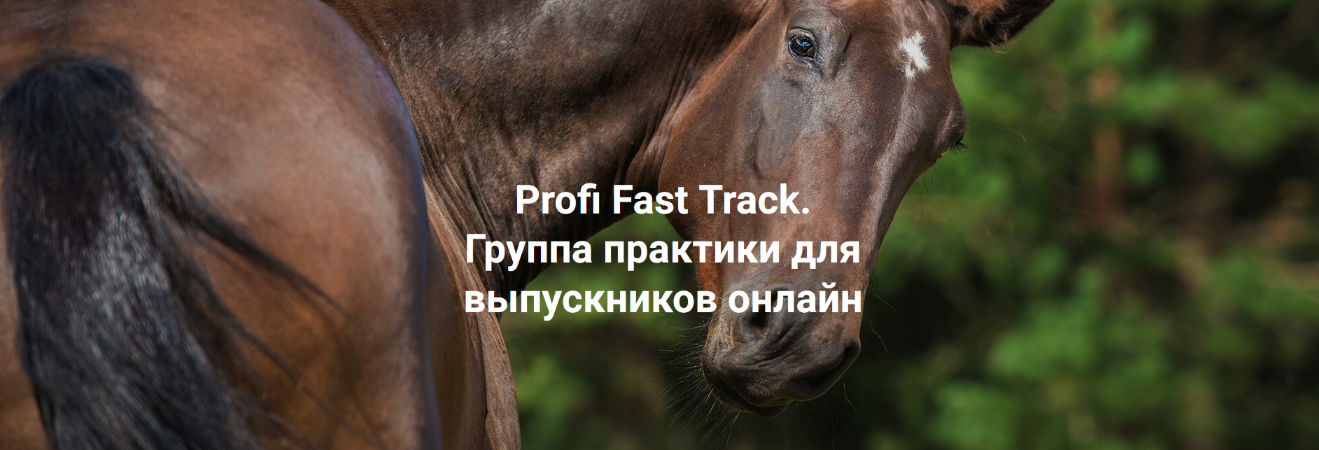 [Елена Веселаго] Profi Fast Track. Травма и переплетение: с чего начать работу (2023)