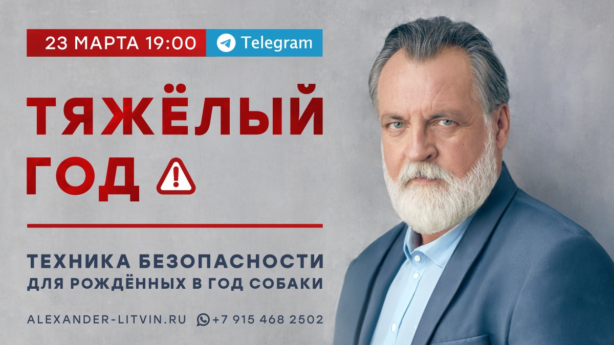 [Александр Литвин] Тяжелый год. Техника безопасности для рожденных в год Собаки (2024)