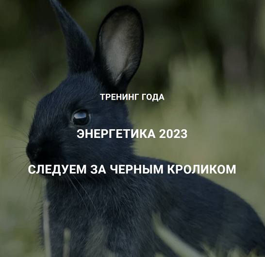 [Дмитрий Лаптев] [Дао-Сфера] Энергетика 2023. Следуем за черным кроликом (2023)