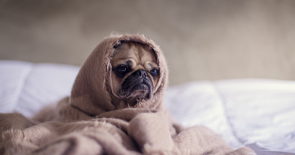 [Михаил Лабковский] Амбиции, прокрастинация, лень: как раскрыть свой потенциал? (2022)