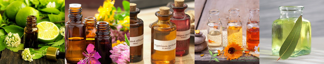 [Фенрир] Эфирные масла будуара. Первое занятие (2022)