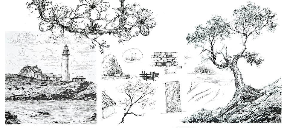 [Marker School] Анастасия Агеева ― Базовый курс графики. Основы (2024)