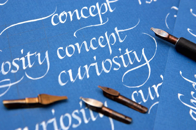 [KalachevaSchool] Вера Соколова — Итальянский курсив. Строчные буквы (2024)