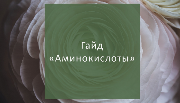 [Елена Суханова] Гайд Аминокислоты (2023)