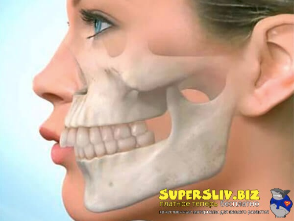 [weston_price_] Всё о прикусе: Челюсти (2025)