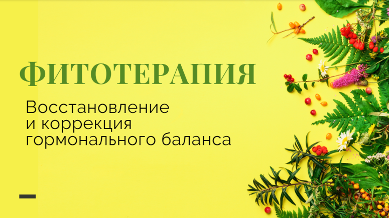 [Яна Степанова] [phytoyana] Методичка «Фитотерапия женских заболеваний» (2024)