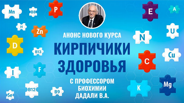 [Владимир Дадали] Кирпичики здоровья (2024)