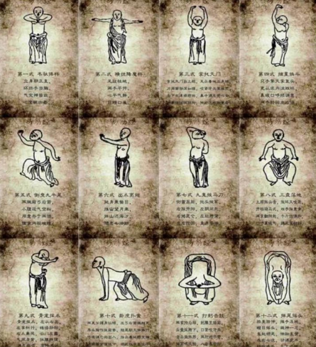 [Дарья Патока] Древний комплекс изменения связок и сухожилий - «И Цзинь Цзин» (2024)