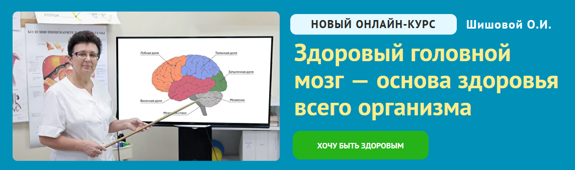 [Ольга Шишова] Здоровый головной мозг — основа здоровья всего организма (2024)