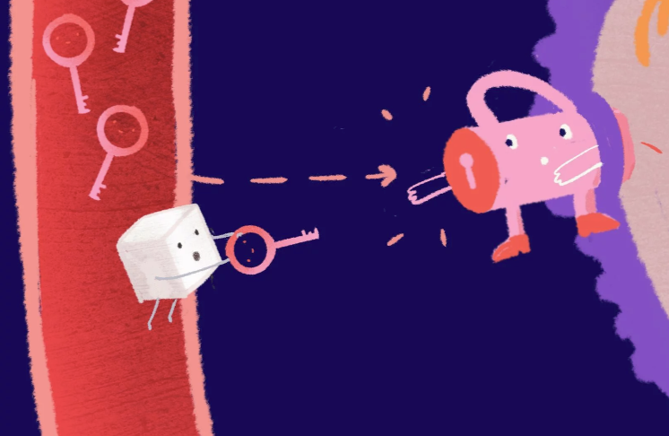 [Мария Вовк] Теоретический курс питания при акне (2023)