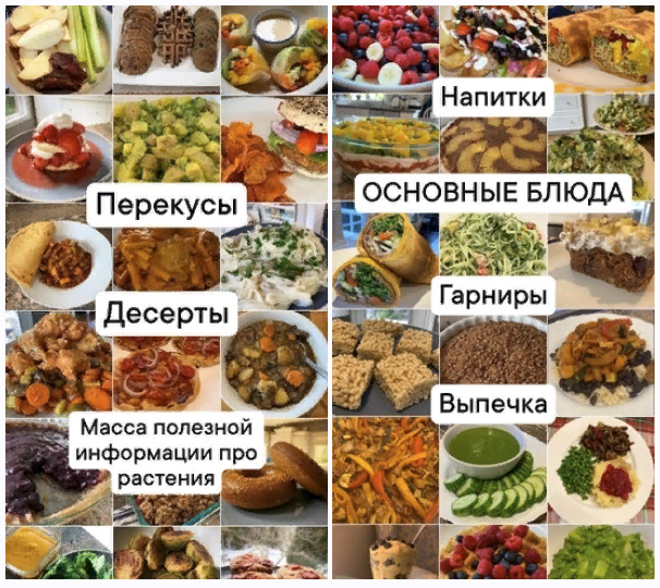 [Medical Medium] Рецепты для исцеления по методике Медикал Медиум (2024)