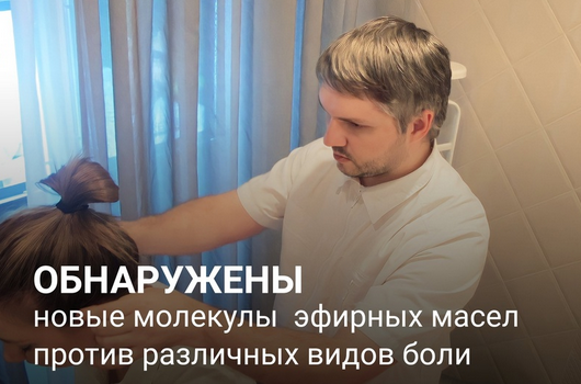 [Илья Чумаков] [Академия AromaVita] Ароматерапия. Головные боли (2023)