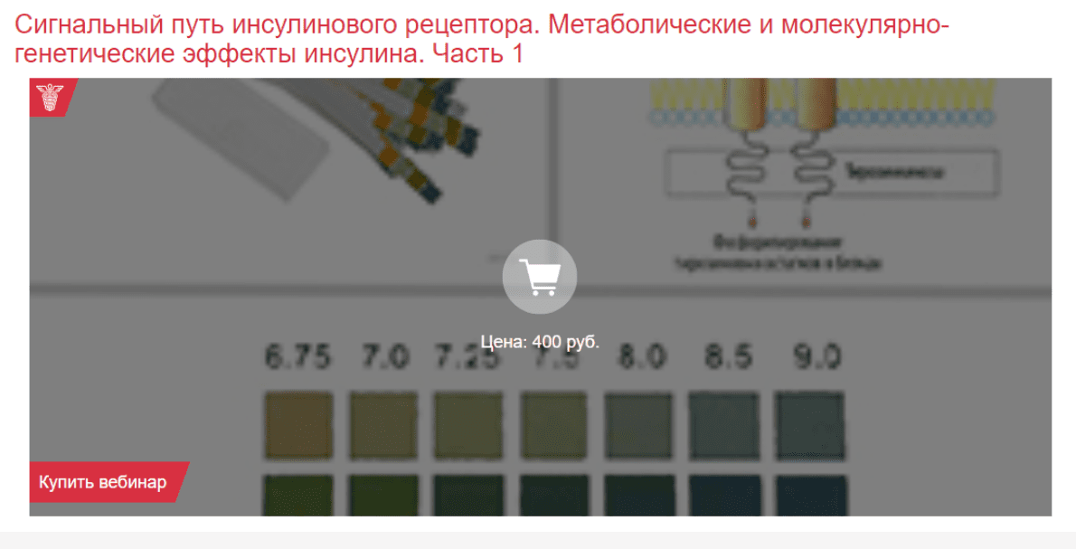[Клиника Калинченко] Леонид Ворслов - Сигнальный путь инсулинового рецептора. Часть 1 (2023)
