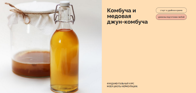 [Мария Сочилкина] [fermentinwonderland.ru] Комбуча и медовая джун-комбуча (2023)