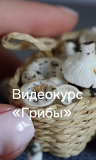 [Юлия Бухарова] Видеокурс Грибы (2023)