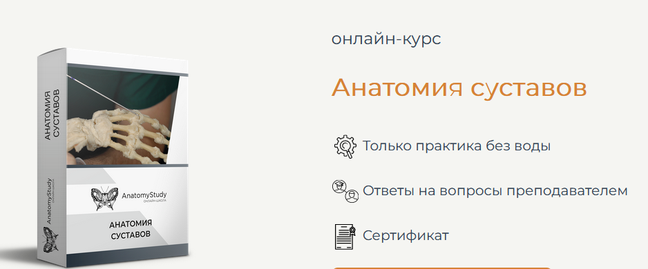 [Сергей Скворцов] [Анатомия] Анатомия суставов (2022)