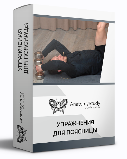 [Вадим Балюк] [Анатомия] Упражнения для поясницы (2022)