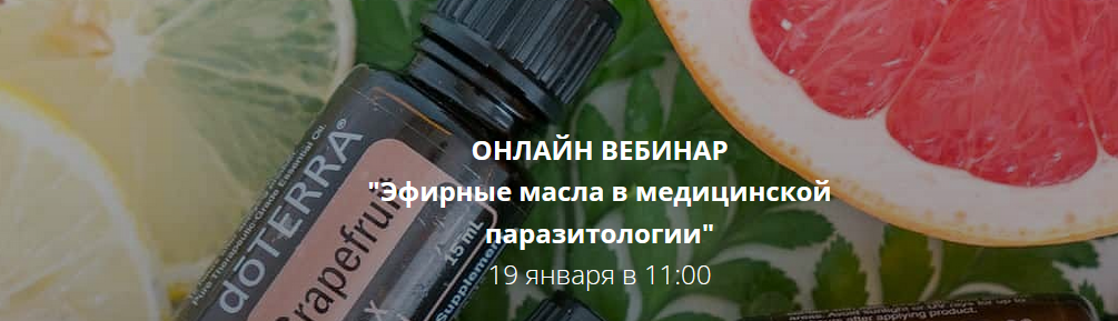 [Игорь Кауфман] [detoxkafa] Эфирные масла в медицинской паразитологии (2022)