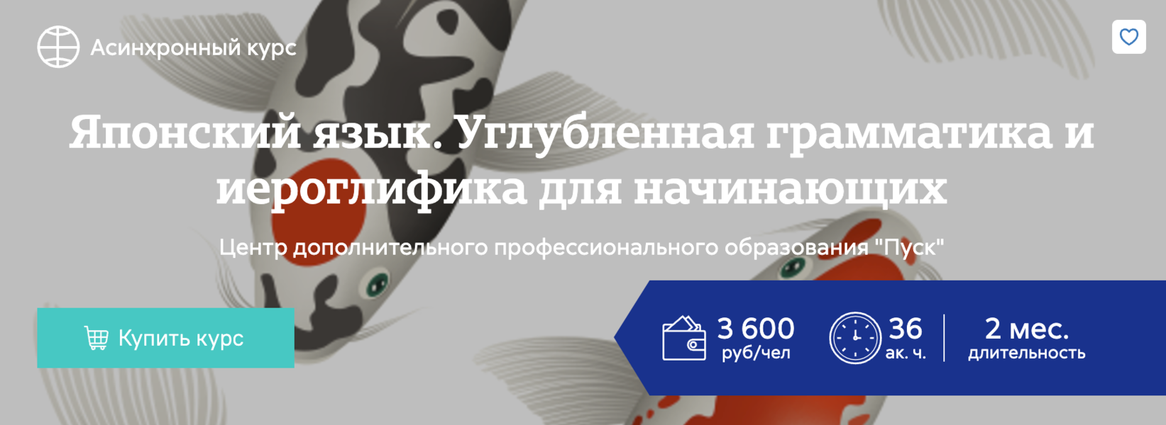 [Анастасия Степанова] Японский язык. Углубленная грамматика и иероглифика для начинающих (2024)