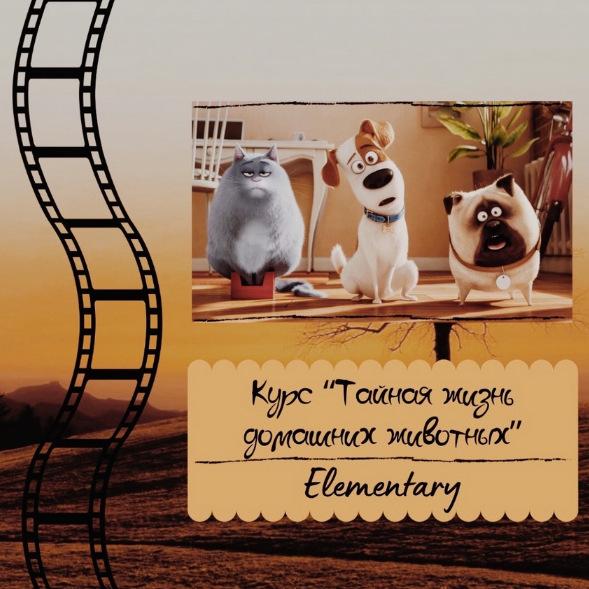 [Евгения Сушкова] Курс по мультфильму "Тайная жизнь домашних животных" (2024)