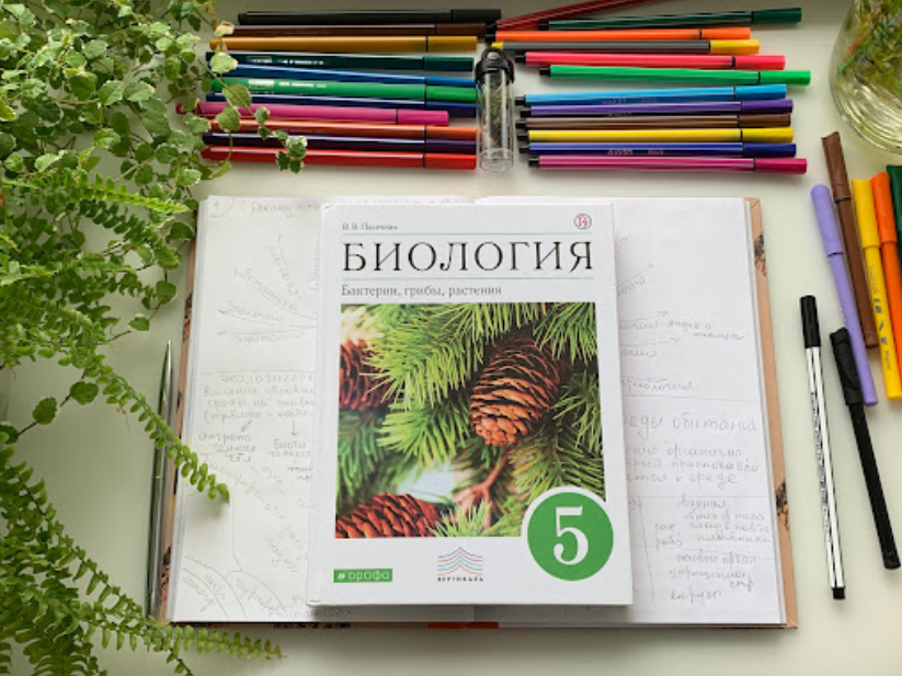 [Алина Чабуткина] БотаникУм (2023)