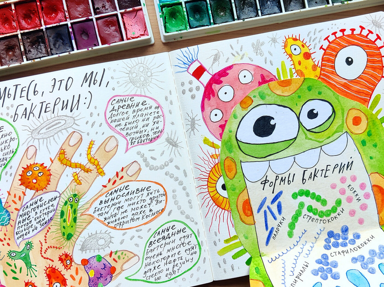 [hurlyburlyschool] Окружающий мир. 9 блок (2023)