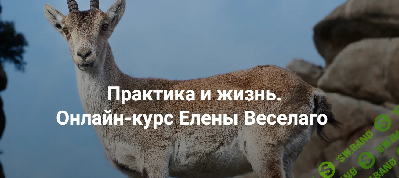 [Институт открытого поля] Практика и жизнь. Ступень 1 (2024)