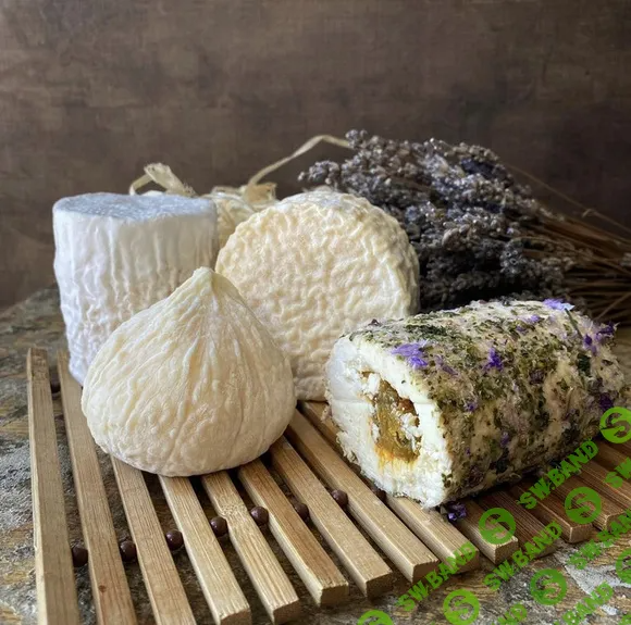 [СыроварКрым] Лактики (2023)