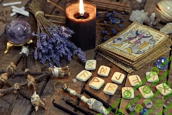 [Фенрир] Руна Зигель (2022)