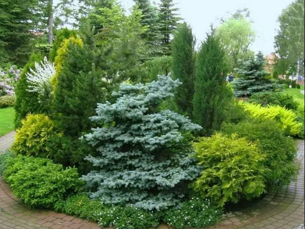 [Елена Письмак] Питомник вечнозеленых и декоративных растений своими руками (2024)