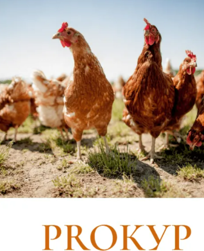 [Рыжий Фермер] Дарья Яковлева - Методичка по бройлерам и несушкам «PROКУР» (2023)