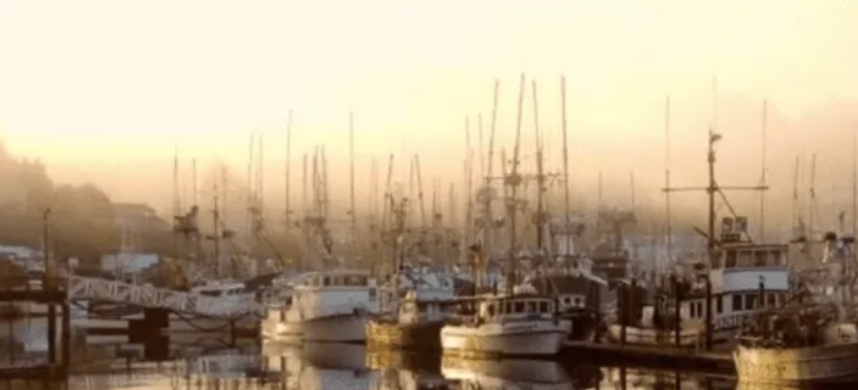 [Виталий Антипин] Лодки мастихином (2023)