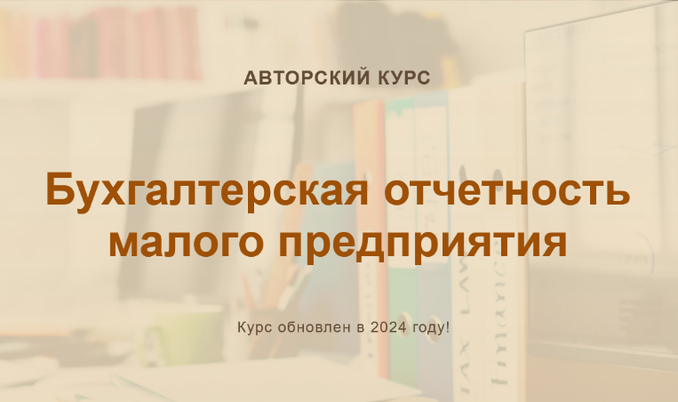 [О. Шулова, В. Власенко] [учетбеззабот.рф] Бухгалтерская отчетность малого предприятия (2024)
