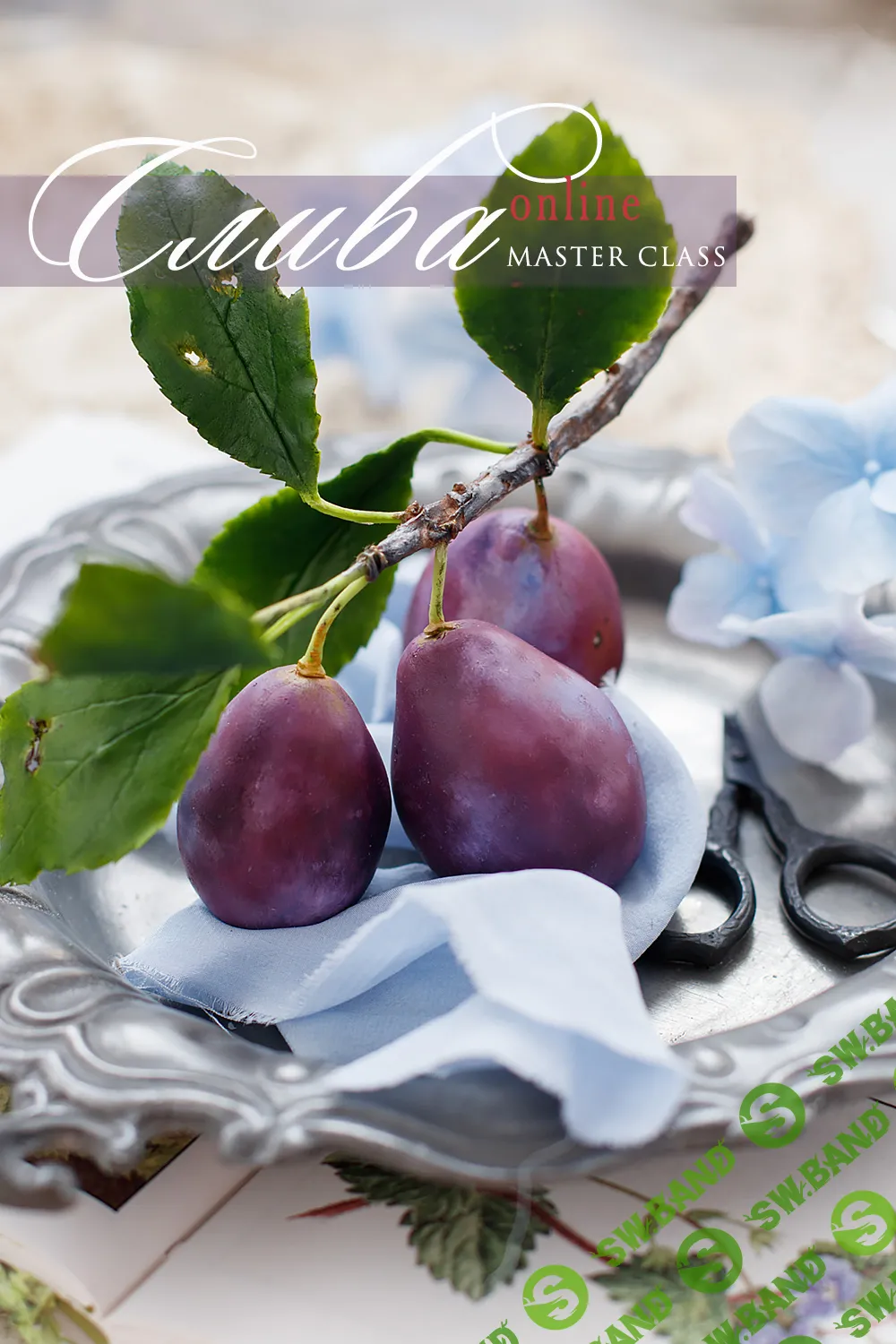 [Кристина Смородина] Ветка сливы (2024)