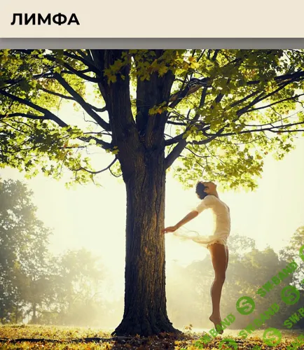 [Виктория Орлинская] Лимфа. Тариф Расширенный (2024)