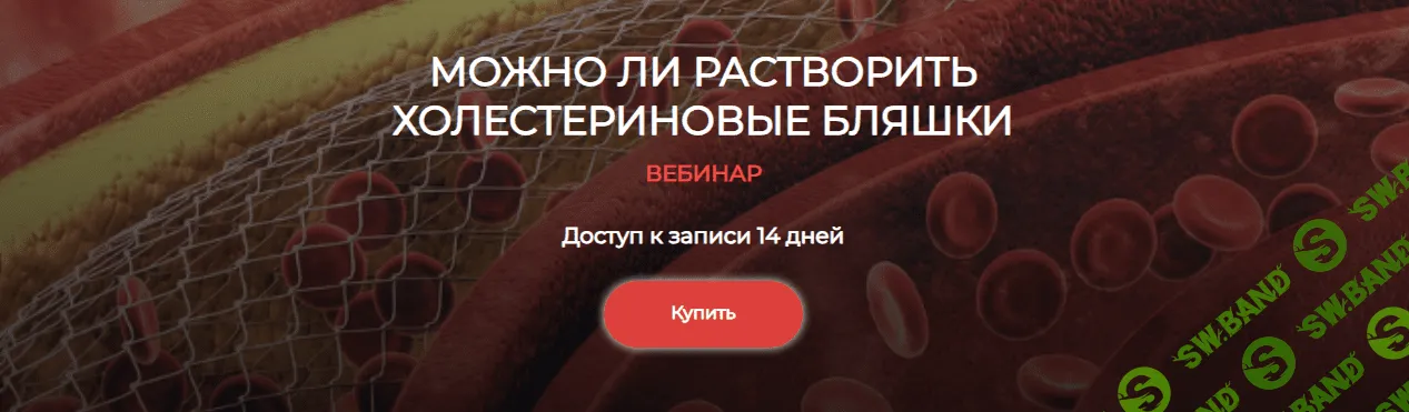 [Humberto 2.0] Можно ли растворить холестериновые бляшки (2024)