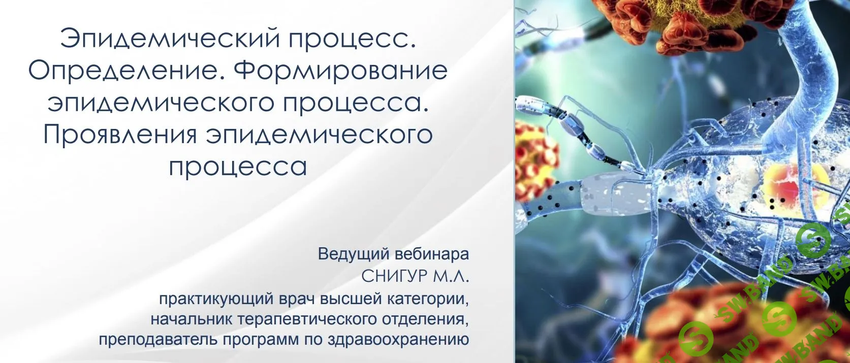 [Максим Снигур] Эпидемический процесс. Определение, формирование, проявления (2022)