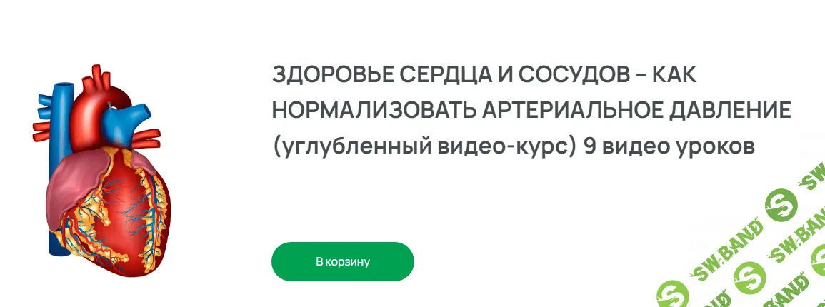 [Доктор Плесовских] Здоровье сердца и сосудов — как нормализовать артериальное давление. (2023)