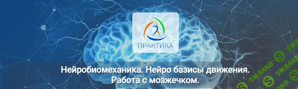 [Альмир Марванов] Нейробиомеханика. Нейро базисы движения. Работа с мозжечком (2022)