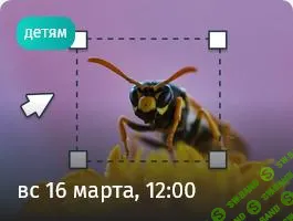 [Прямая речь] Тайны мира насекомых. Интерактивная научная лекция для детей (9+) и их родителей (2025)