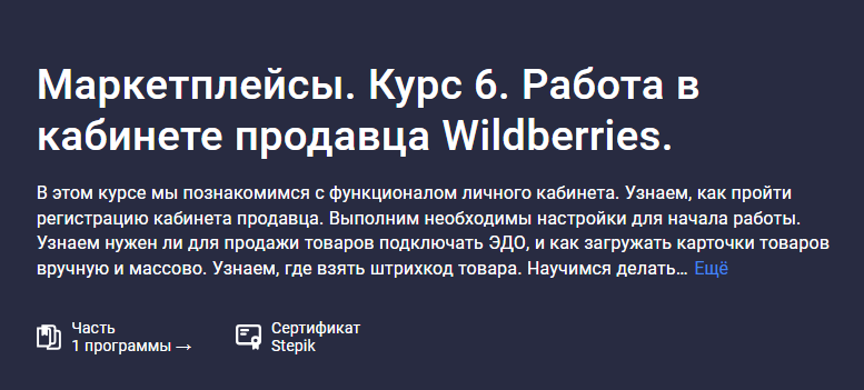 [Анастасия Эджингтон] [Stepik] Работа в Маркетплейсы. Курс 6. Работа в кабинете продавца Wildberries (2023)
