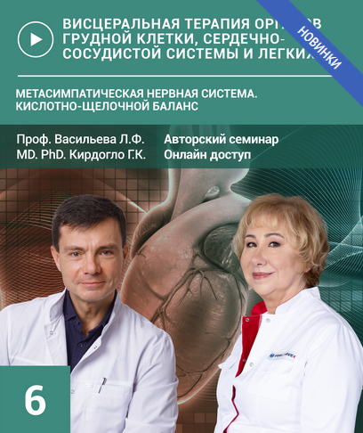 [Людмила Васильева, Глеб Кирдогло] Семинар №6. Метасимпатическая нервная система (2024)
