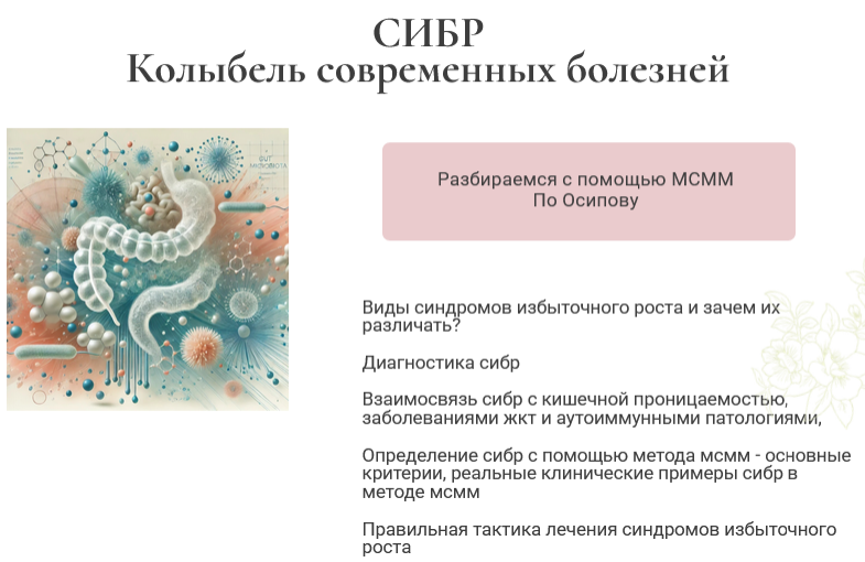 [Святослав Безродный, Ирина Хисамова] СИБР. Колыбель современных болезней. Тариф Базовый (2025)