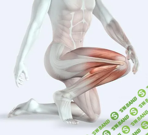 [Александр Волоткевич] Колени - здоровье и биомеханика (2025)