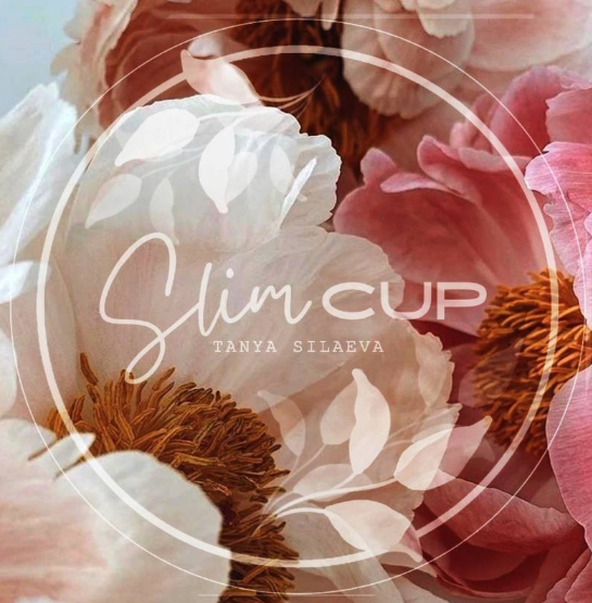 [Таня Силаева] Десерты в баночках SLIM CUP (2025)