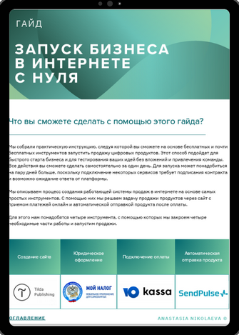 [Анастасия Николаева] Начало бизнеса в интернете с нуля: пошаговая инструкция (2025)