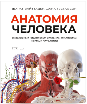 [Доктор Шарат Вайттаден, Доктор Дана Густафсон] [МИФ] Анатомия человека (2025)