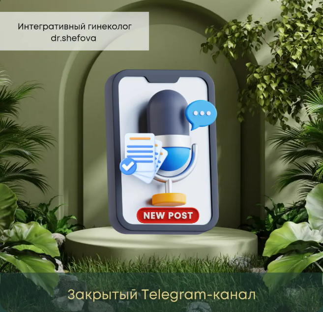 [Юлия Шефова] Клуб Женское Здоровье. Тариф Только канал. Июль (2025)