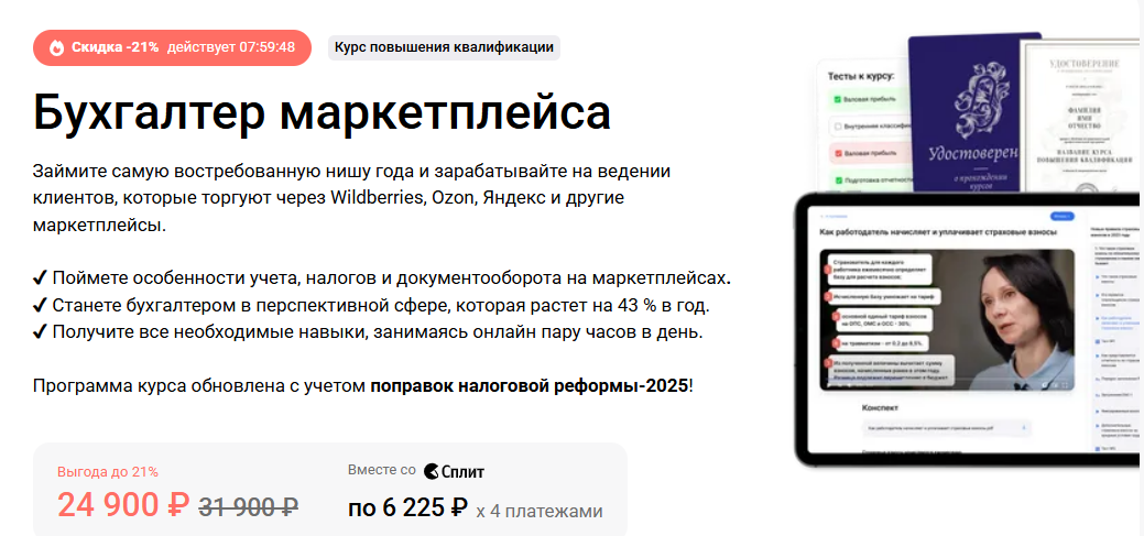 [Татьяна Пашинник, Ирина Гамова, Елена Ярушкина] [Клерк] Бухгалтер маркетплейса (2025)